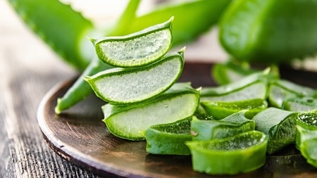 Rối loạn kinh nguyệt nên ăn nha đam