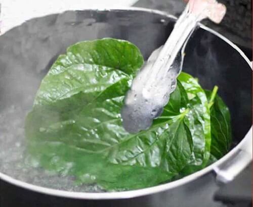 xông rửa vùng kín bằng lá trầu không