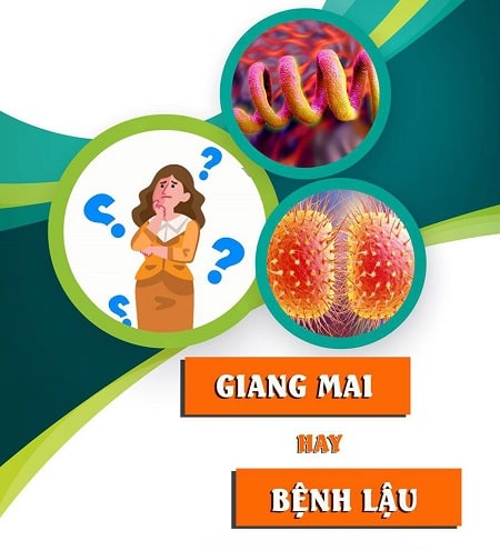 So sánh bệnh lậu và bệnh giang mai có khác nhau không? 