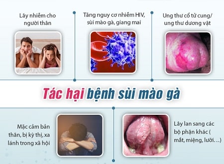 Mức độ nguy hiểm của bệnh sùi mào gà