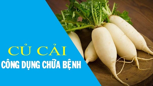 Tác dụng của cây củ cải