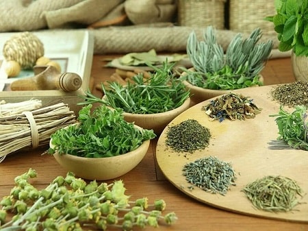 Bạn liệu đã hiểu rõ về bệnh trĩ chưa?