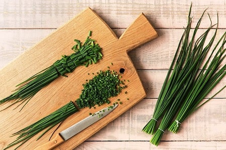 Thuốc nam điều trị bệnh trĩ ngoại bằng lá hẹ