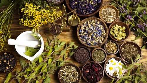 Nhóm thuốc thảo dược chữa viêm quy đầu
