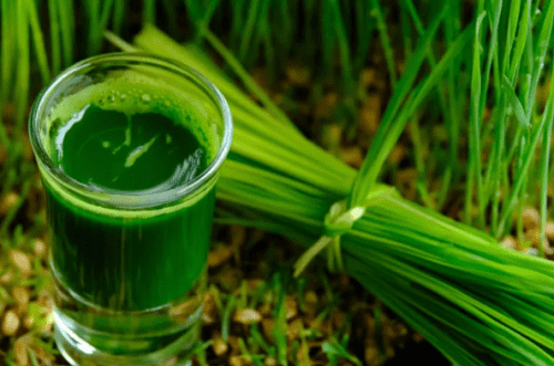 Nước lá hẹ chữa xuất tinh sớm