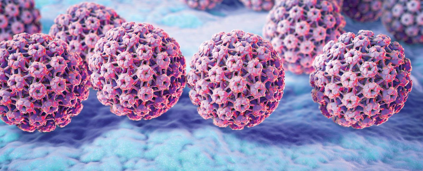 Virus HPV
