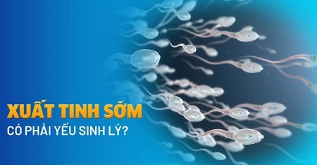 Xuất tinh sớm có phải yếu sinh lý không? - Hiểu đúng điều trị đúng